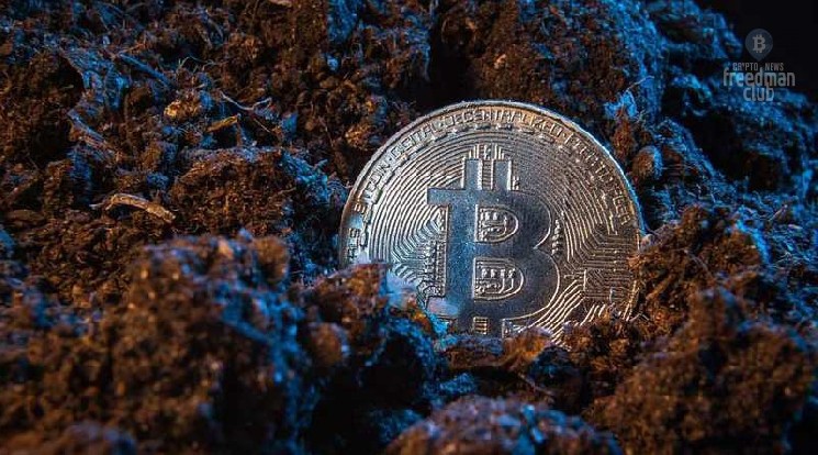 Число криптовалютных майнеров в 2021 году выросло на 40 %