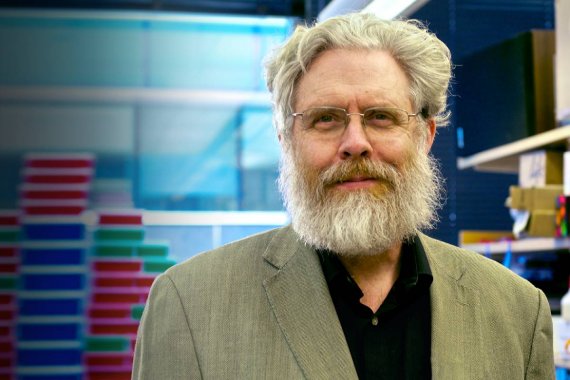 
                    Пэрис Хилтон и создатель Cardano инвестировали в оживление мамонтов                